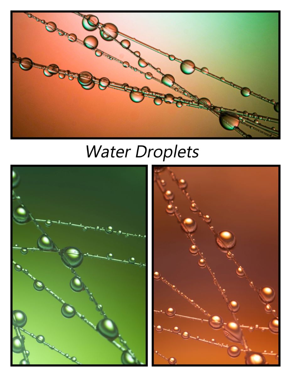 3rd Place PDI - Jan Andrew - Water Droplets.jpg